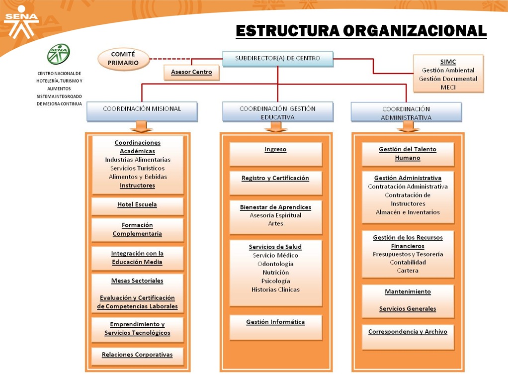 estructura organizacional de una. Estructura Organizacional